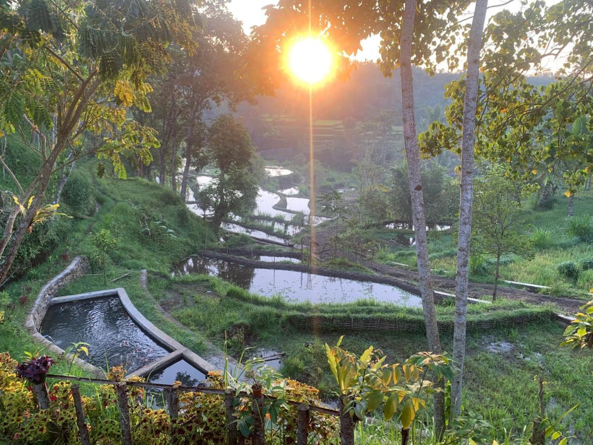 The Alam Tetebatu Bungalow & Restaurant ภายนอก รูปภาพ