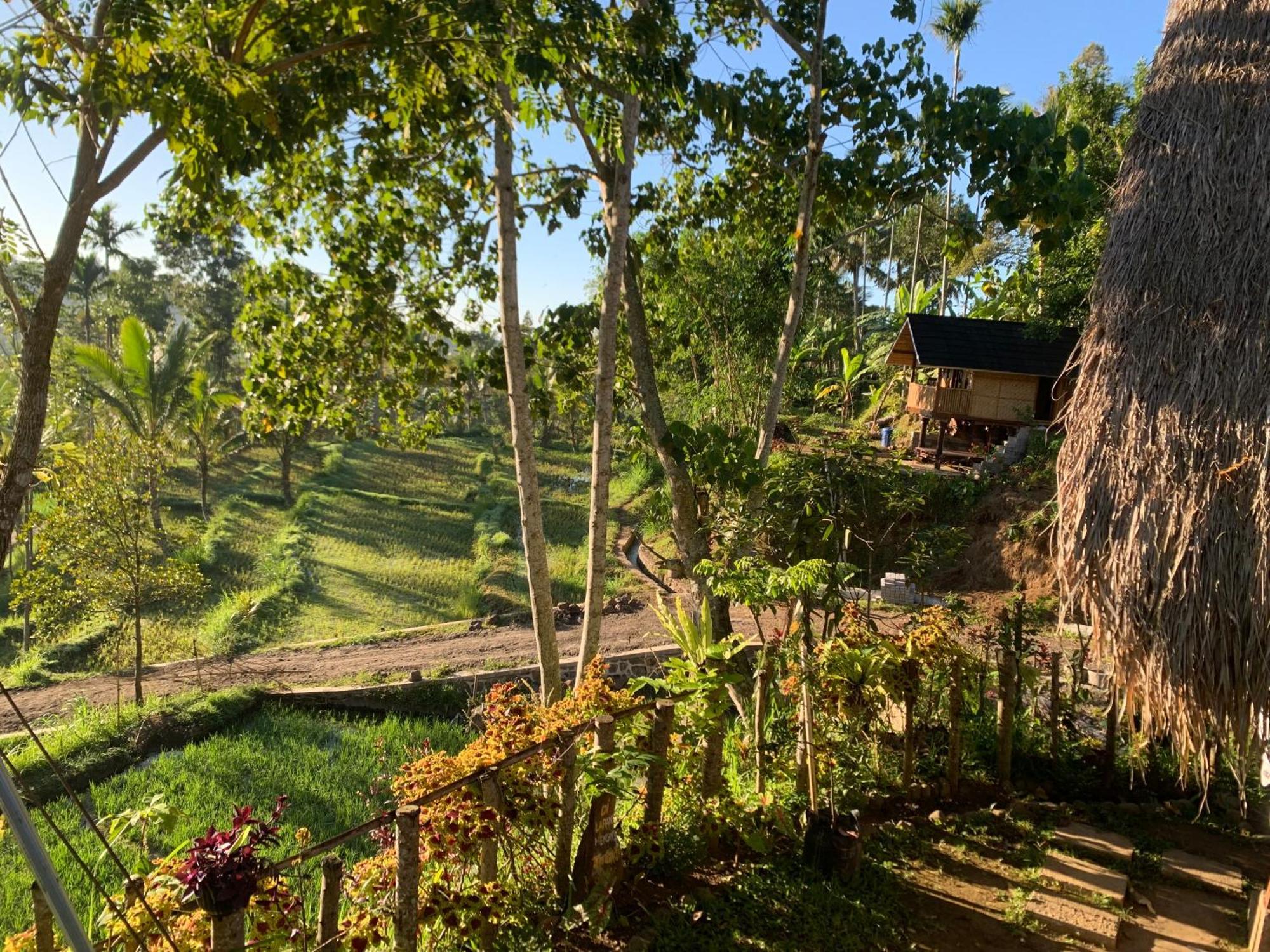 The Alam Tetebatu Bungalow & Restaurant ภายนอก รูปภาพ