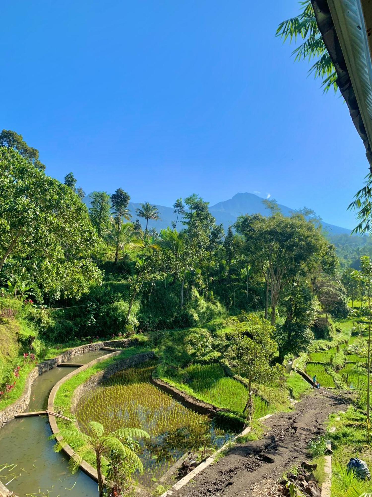 The Alam Tetebatu Bungalow & Restaurant ภายนอก รูปภาพ