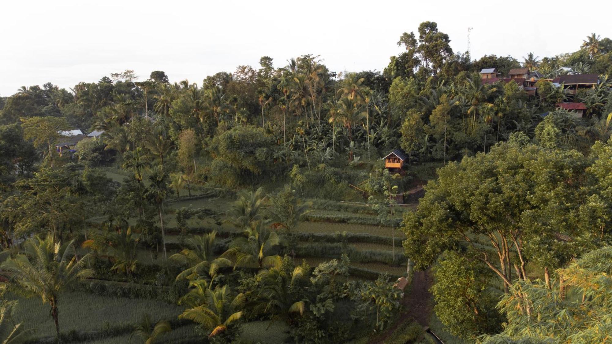 The Alam Tetebatu Bungalow & Restaurant ภายนอก รูปภาพ