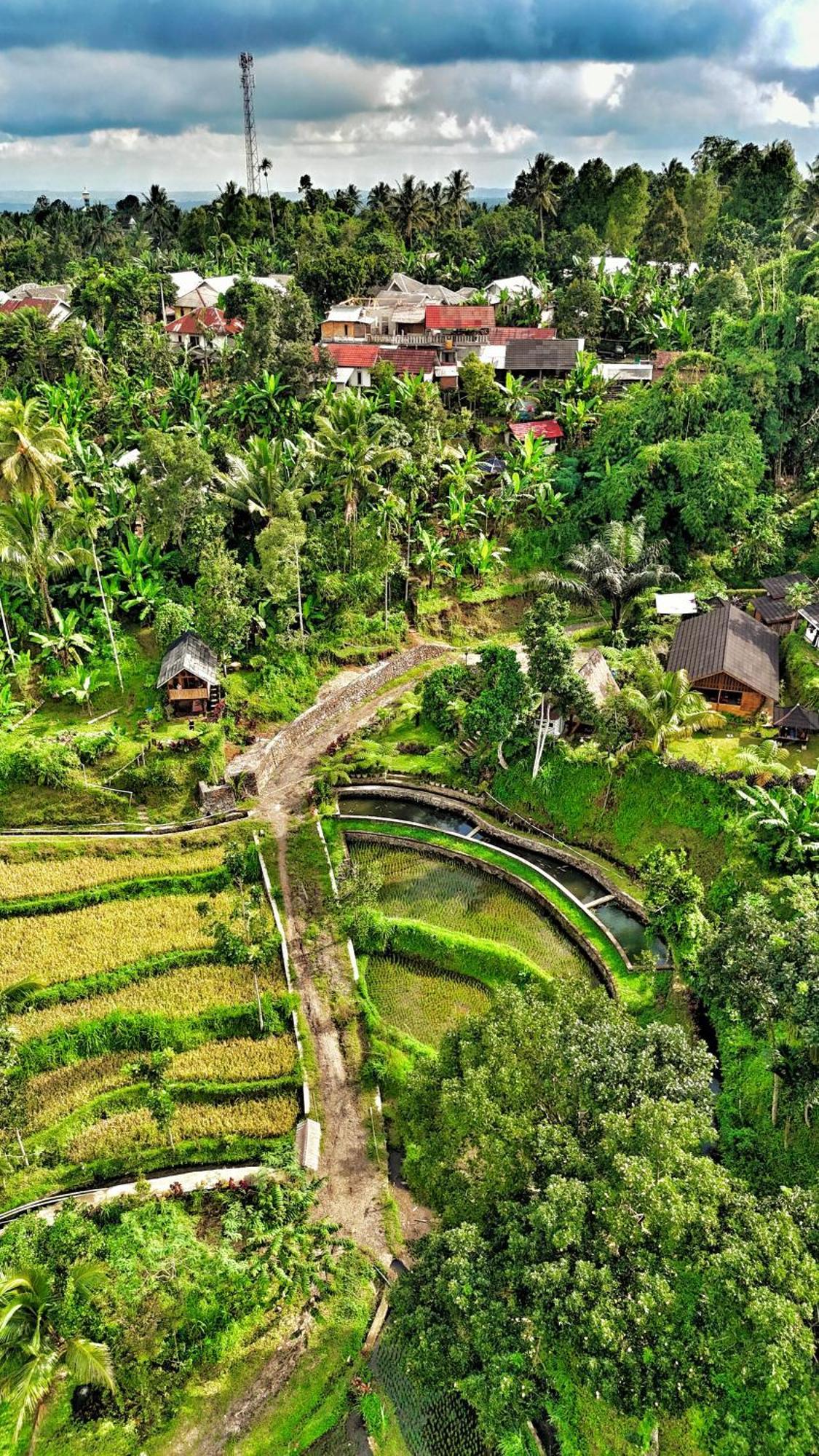 The Alam Tetebatu Bungalow & Restaurant ภายนอก รูปภาพ