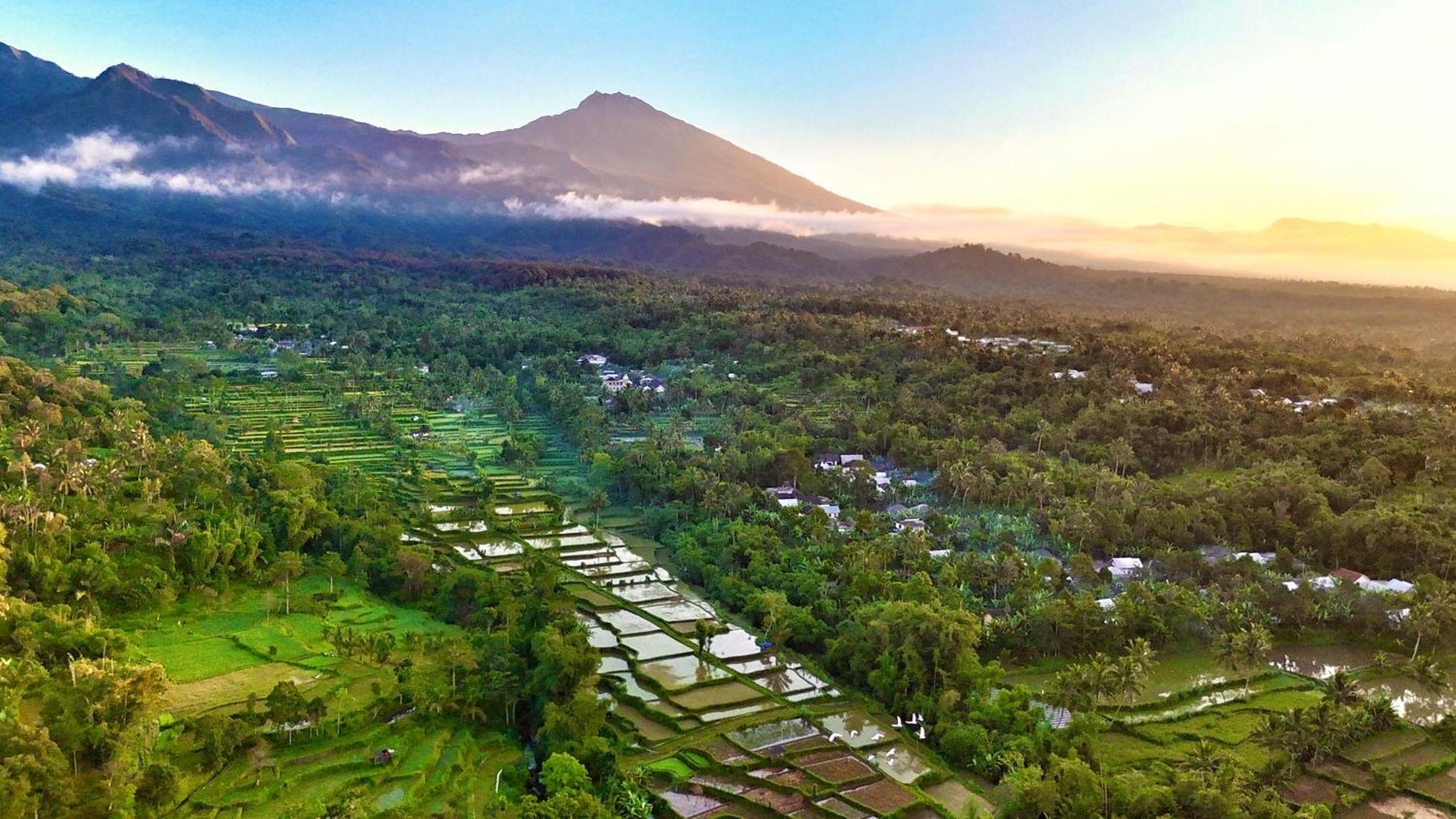 The Alam Tetebatu Bungalow & Restaurant ภายนอก รูปภาพ