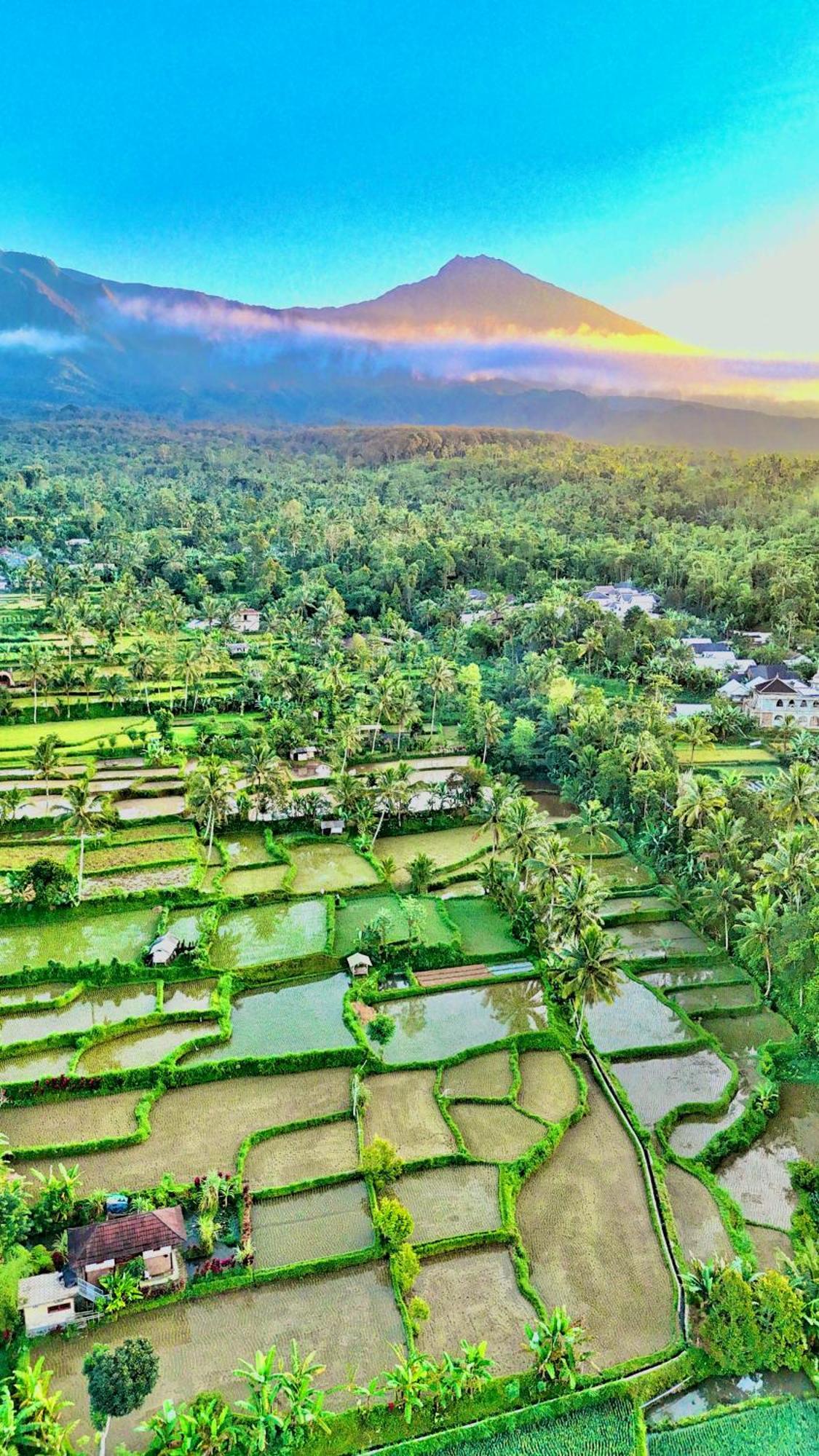 The Alam Tetebatu Bungalow & Restaurant ภายนอก รูปภาพ
