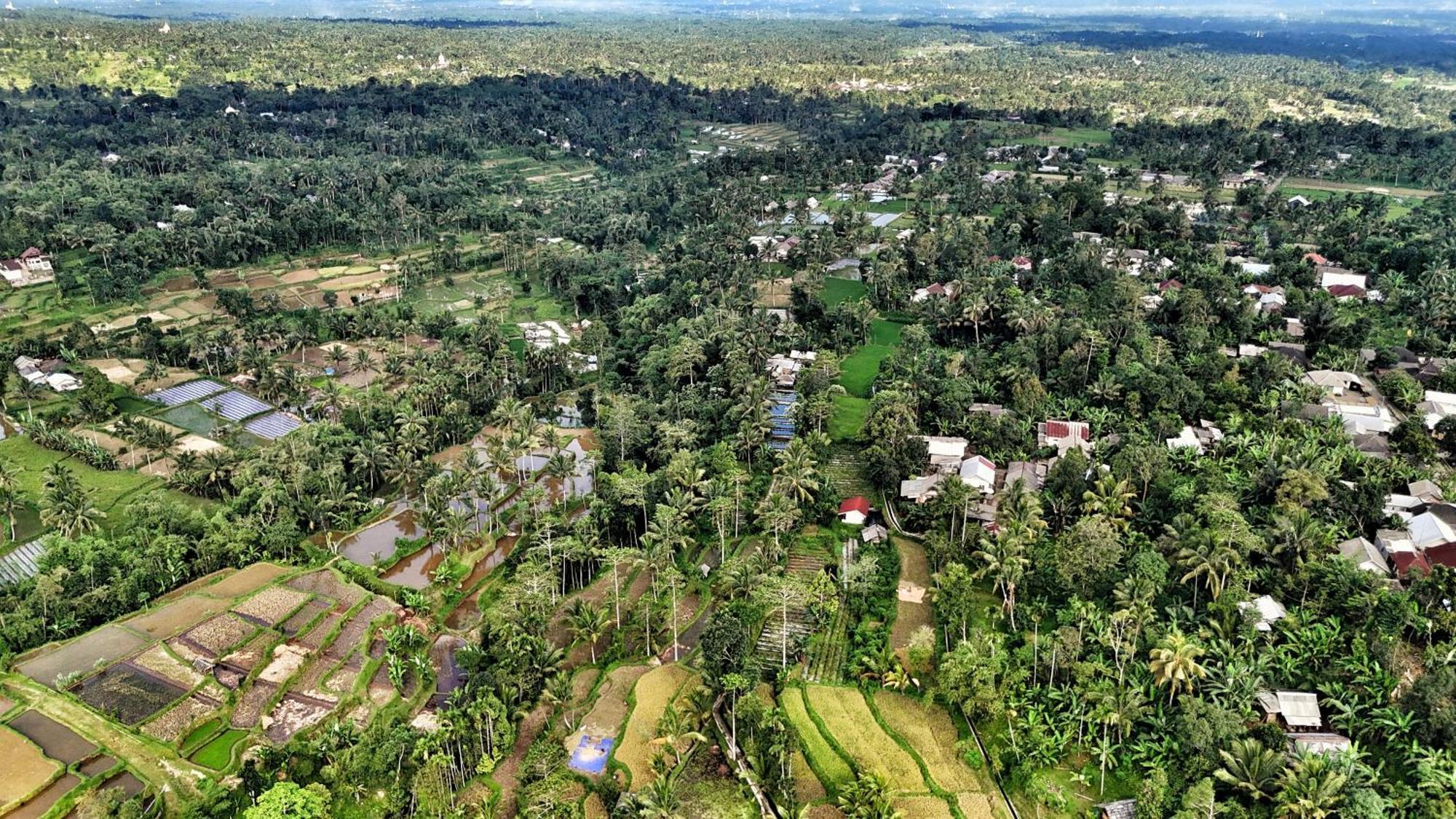 The Alam Tetebatu Bungalow & Restaurant ภายนอก รูปภาพ