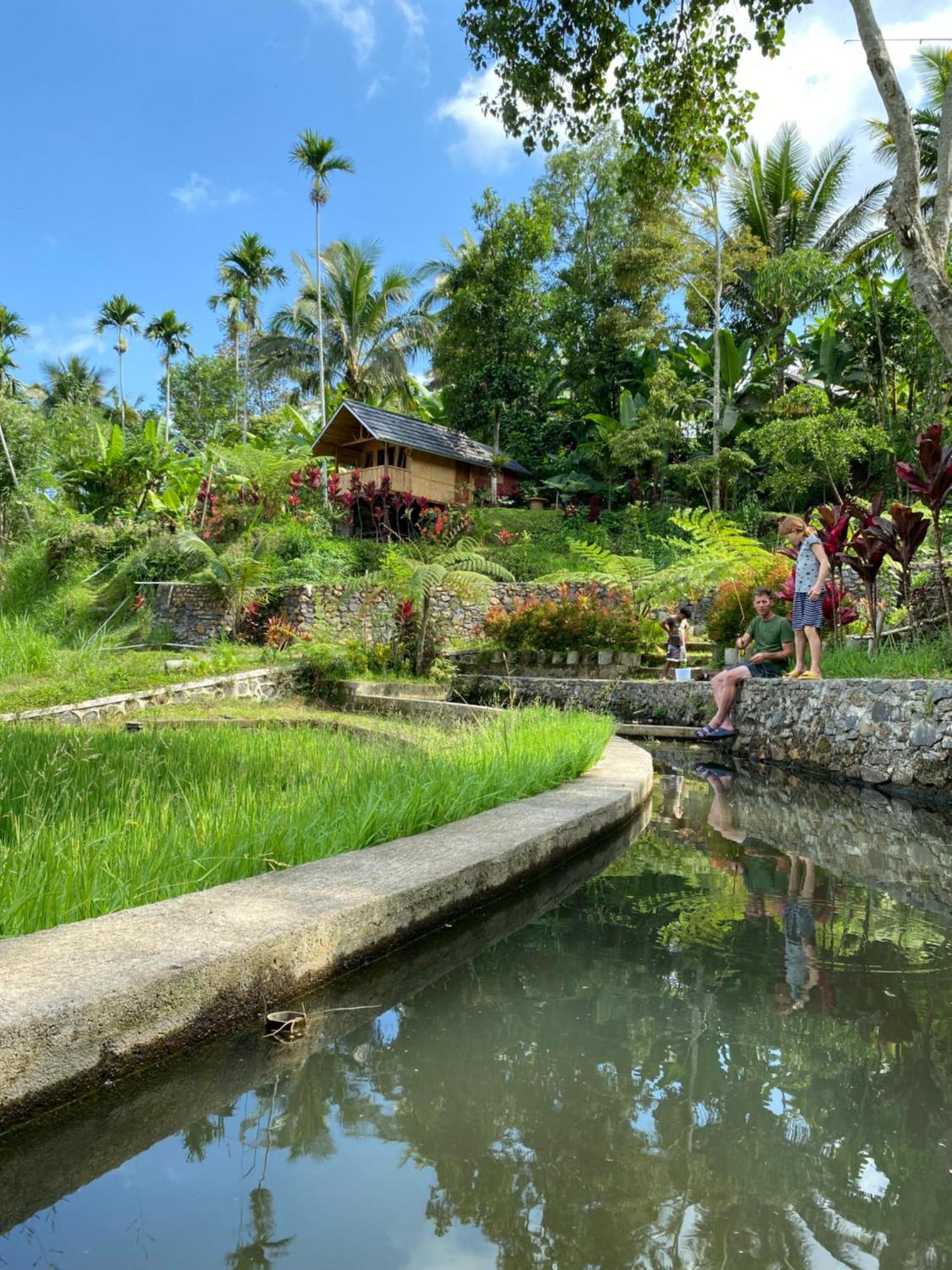 The Alam Tetebatu Bungalow & Restaurant ภายนอก รูปภาพ